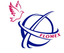 FLOMEX LOGISTICA